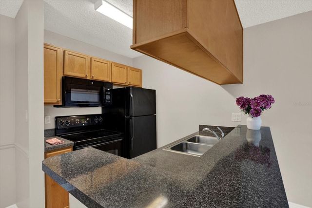 308 LAKE PARSONS GREEN 203, Brandon, FL 33511