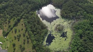 736 Arnett School Road, Sylvania, GA 30467