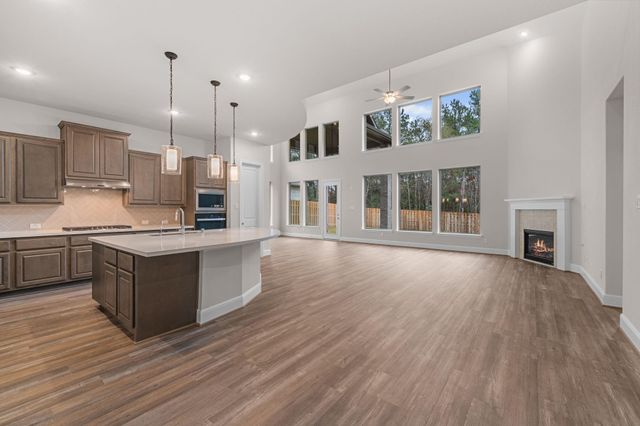 1744 Howler Way, Todd Mission, TX 77316