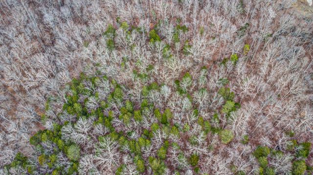 0 Cheyenne Dr, Jamestown, TN 38556