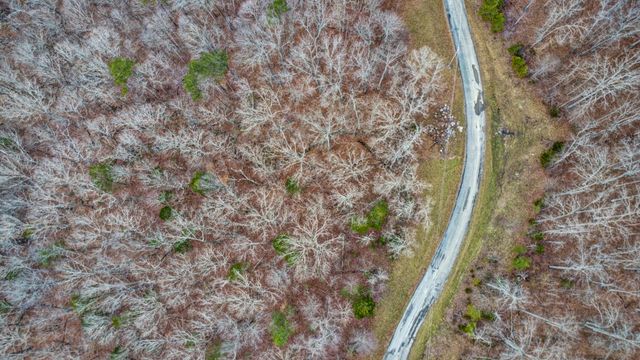 0 Cheyenne Dr, Jamestown, TN 38556