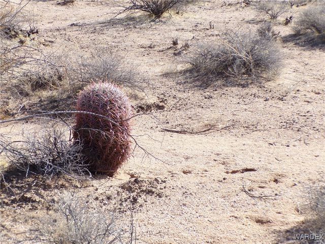 Lot 38 Saguaro Drive, Yucca, AZ 86438