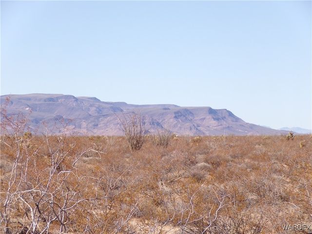 Lot 38 Saguaro Drive, Yucca, AZ 86438