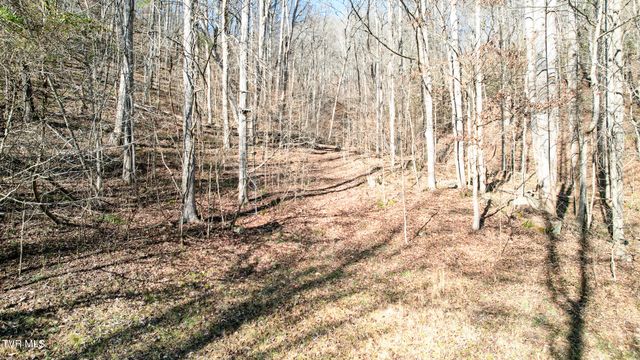752 War Valley Road, Rogersville, TN 37857