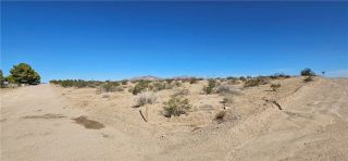 800 Mandrill St., Newberry Springs, CA 92365