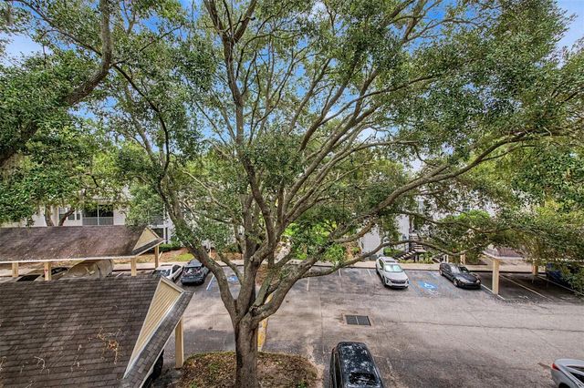 3270 HAVILAND COURT 301, Palm Harbor, FL 34684