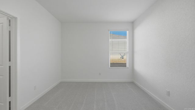 1926 Wood Warbler, New Braunfels, TX 78130