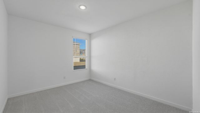 1926 Wood Warbler, New Braunfels, TX 78130