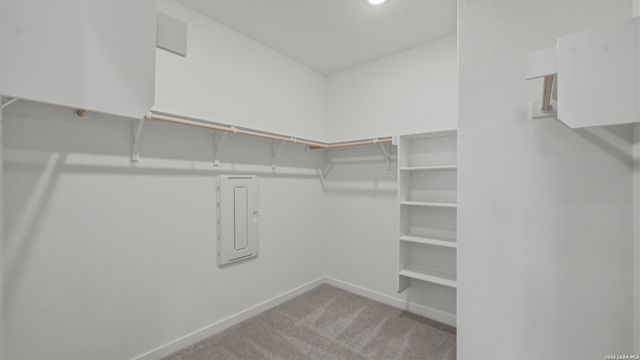 1926 Wood Warbler, New Braunfels, TX 78130