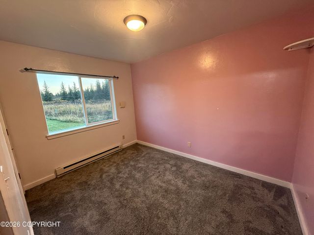 51290 Mossberry Avenue, Homer, AK 99603