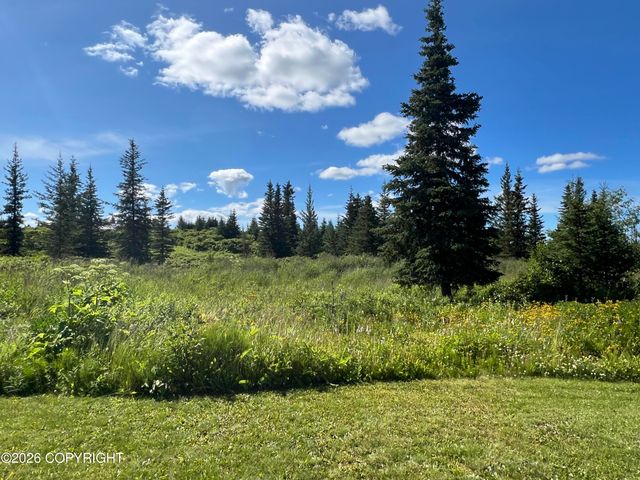 51290 Mossberry Avenue, Homer, AK 99603