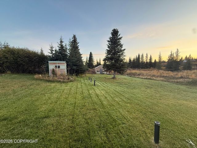 51290 Mossberry Avenue, Homer, AK 99603