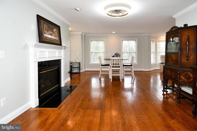 486 TIGER VALLEY RD, Washington, VA 22747