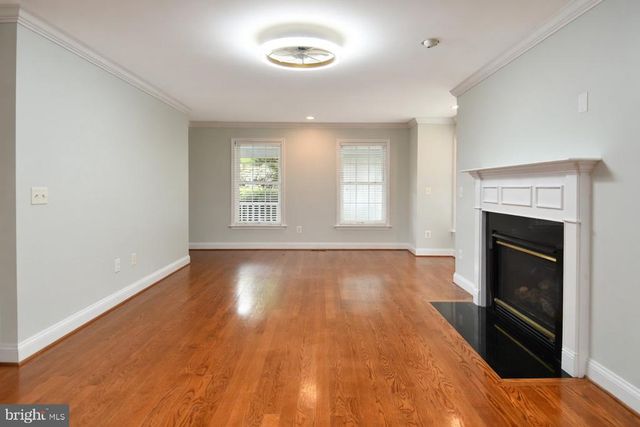 486 TIGER VALLEY RD, Washington, VA 22747