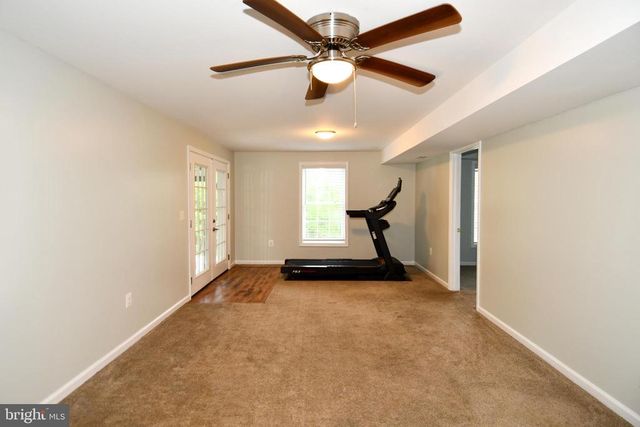 486 TIGER VALLEY RD, Washington, VA 22747