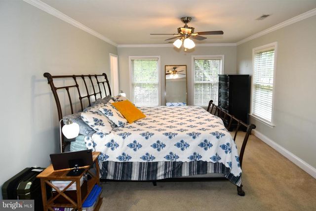 486 TIGER VALLEY RD, Washington, VA 22747
