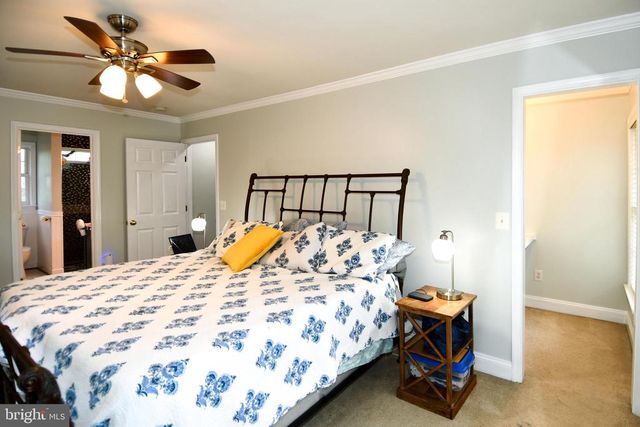 486 TIGER VALLEY RD, Washington, VA 22747