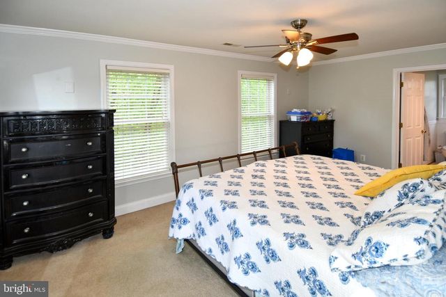 486 TIGER VALLEY RD, Washington, VA 22747