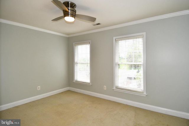 486 TIGER VALLEY RD, Washington, VA 22747