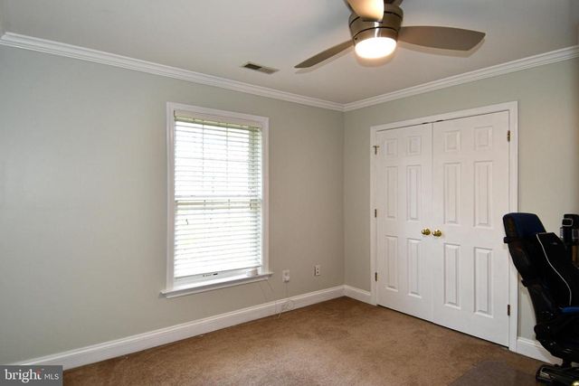 486 TIGER VALLEY RD, Washington, VA 22747