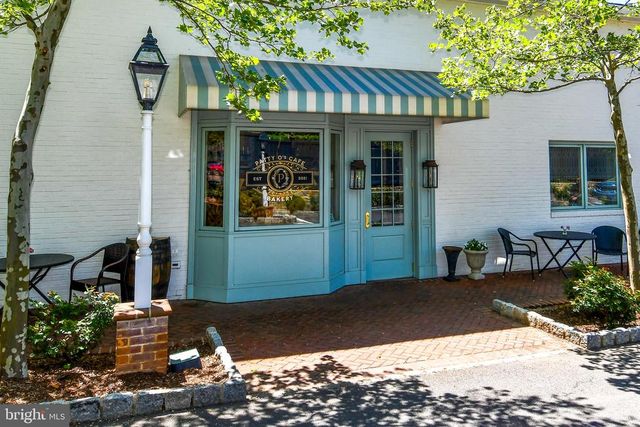 486 TIGER VALLEY RD, Washington, VA 22747