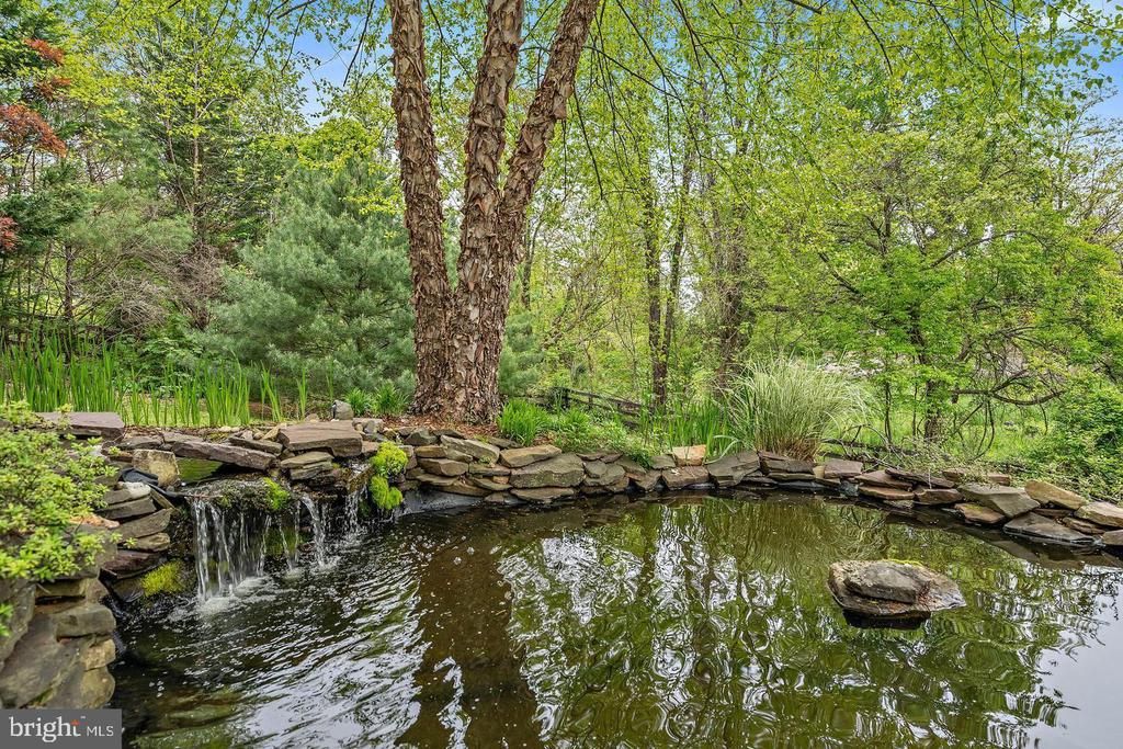 486 TIGER VALLEY RD, Washington, VA 22747