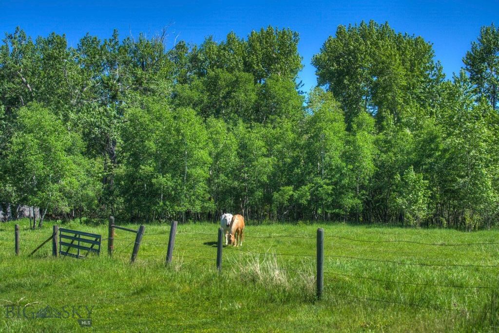 13830 (Lot A) Cottonwood Road, Bozeman, MT 59718 photo 5