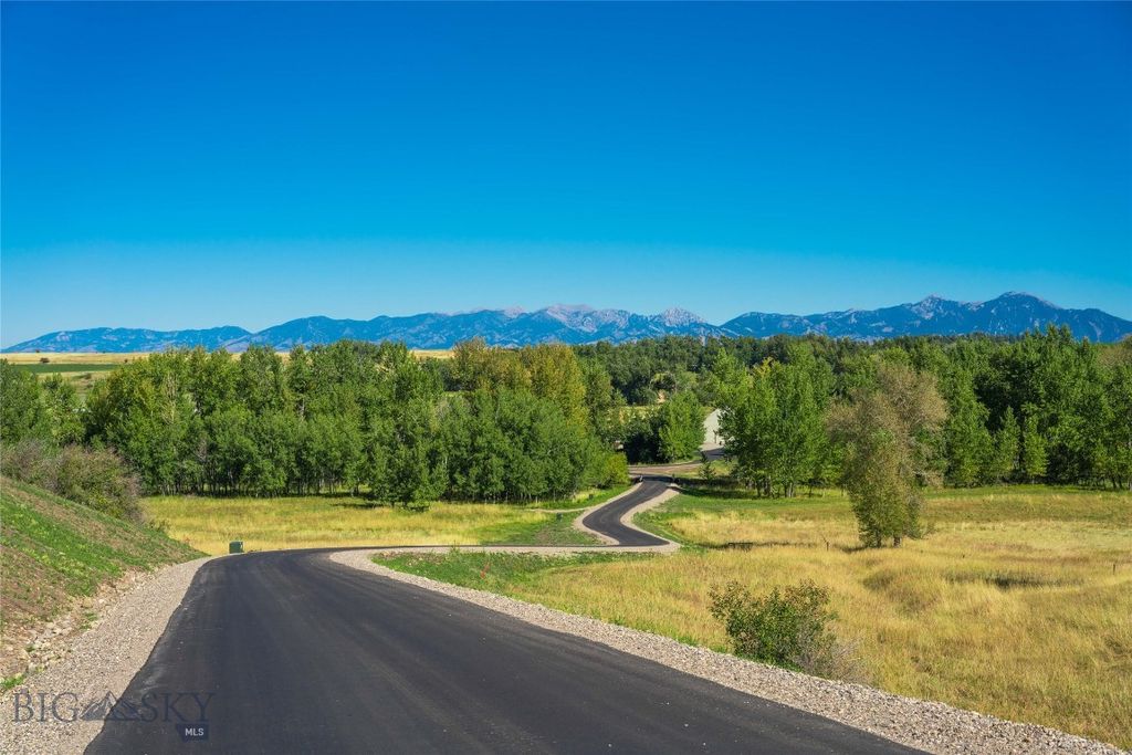 13830 (Lot A) Cottonwood Road, Bozeman, MT 59718 photo 9
