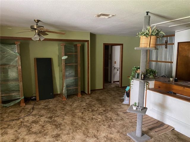 271 County Road 175, Sandia, TX 78383