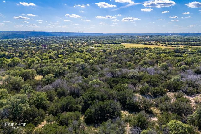 TBD County Road 280, Tuscola, TX 79562