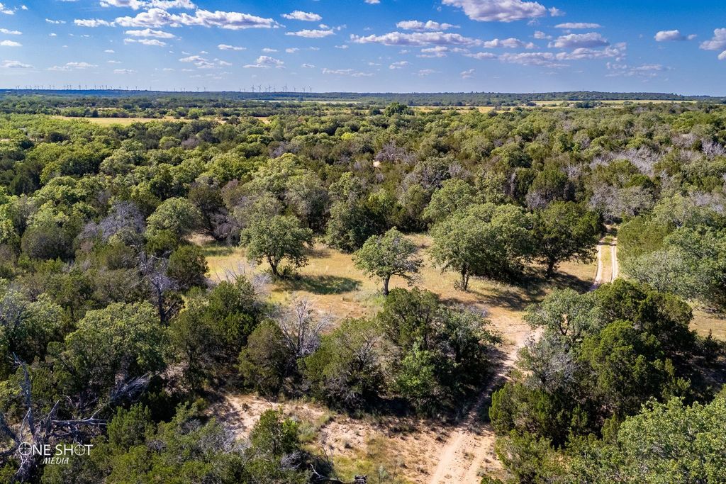 TBD County Road 280, Tuscola, TX 79562