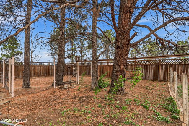 565 Carver Road, Las Cruces, NM 88005