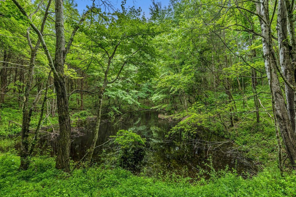 921 Eli Rd, Bon Aqua, TN 37025