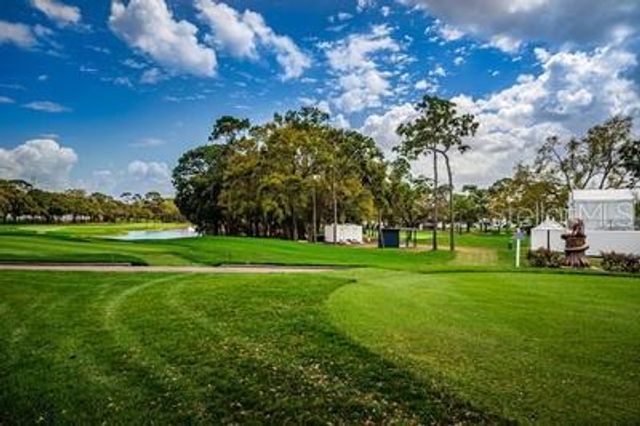 36750 US HIGHWAY 19 N 3131, Palm Harbor, FL 34684