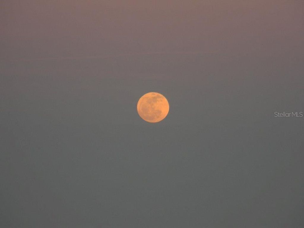 Image 50 of property listing at 316 CITRUS OPEN DRIVE, New Smyrna Beach, FL 32168