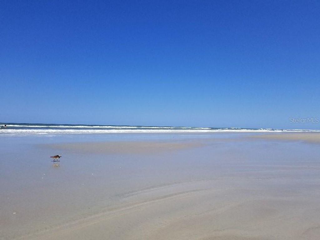 Image 56 of property listing at 316 CITRUS OPEN DRIVE, New Smyrna Beach, FL 32168