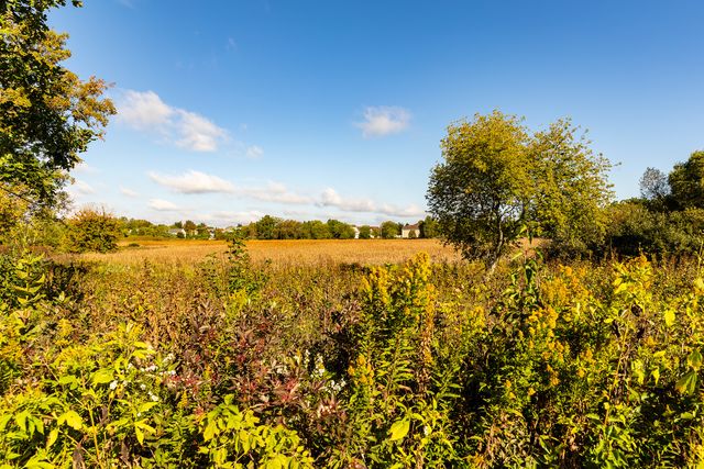 2308 Loop Road, Algonquin, IL 60102