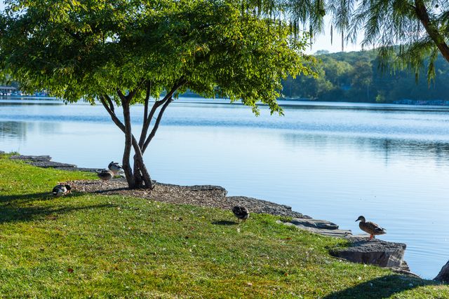 2308 Loop Road, Algonquin, IL 60102