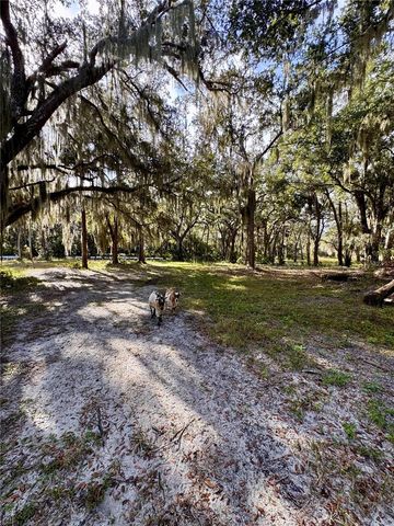 480 CLINTON CEMETERY ROAD, Edgewater, FL 32141