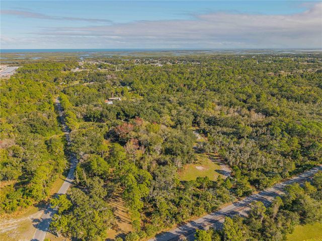 480 CLINTON CEMETERY ROAD, Edgewater, FL 32141