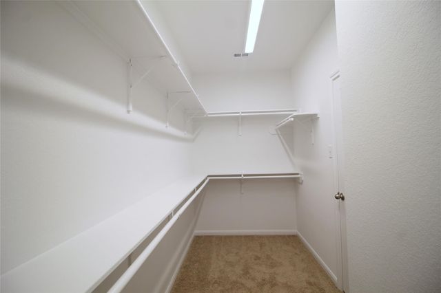 26018 Windy Prairie, Richmond, TX 77406