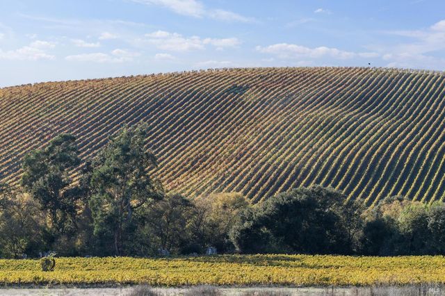 1301 Duhig Rd, Napa, CA 94559