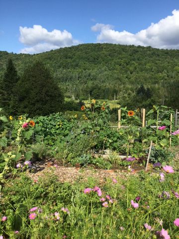 1110 Creek Road, Albany, VT 05845