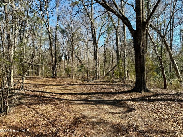 00 Old Tar Landing Road, Jacksonville, NC 28540