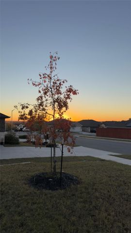 2512 Hackamore DR, Leander, TX 78641