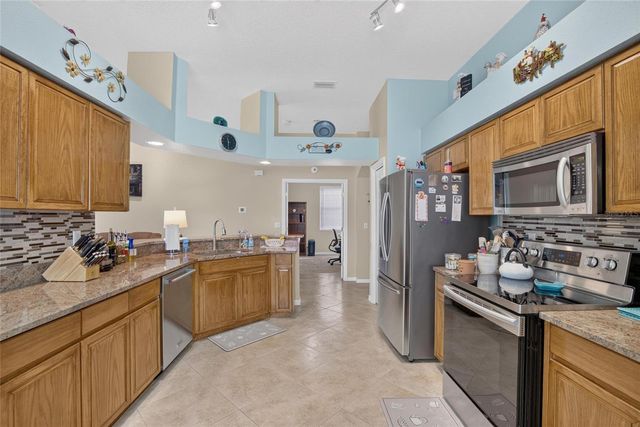11115 SILVER DANCER DRIVE, Riverview, FL 33579