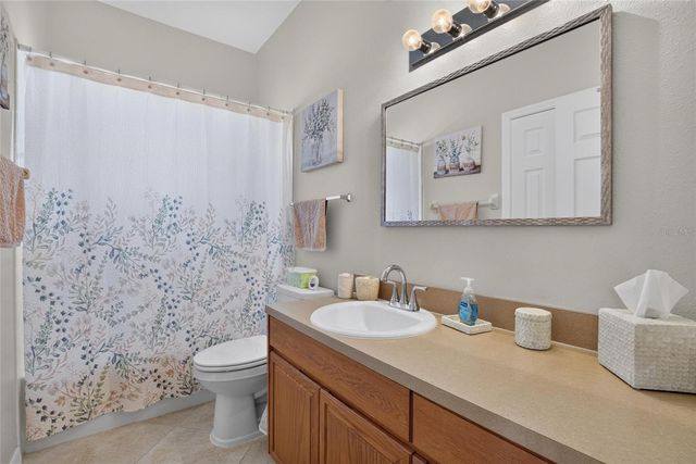 11115 SILVER DANCER DRIVE, Riverview, FL 33579