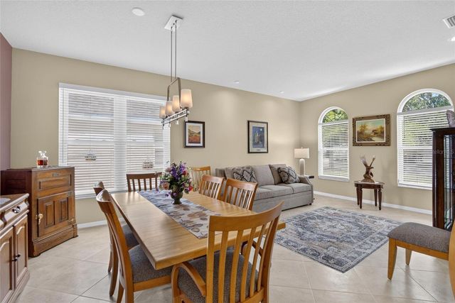 11115 SILVER DANCER DRIVE, Riverview, FL 33579