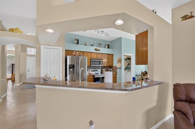 11115 SILVER DANCER DRIVE, Riverview, FL 33579