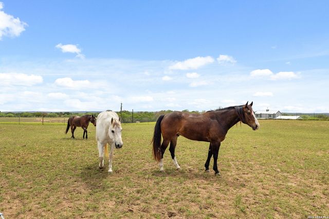 2431 FM 467, Seguin, TX 78155